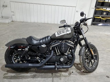 HARLEY-DAVIDSON XL883 N 2019